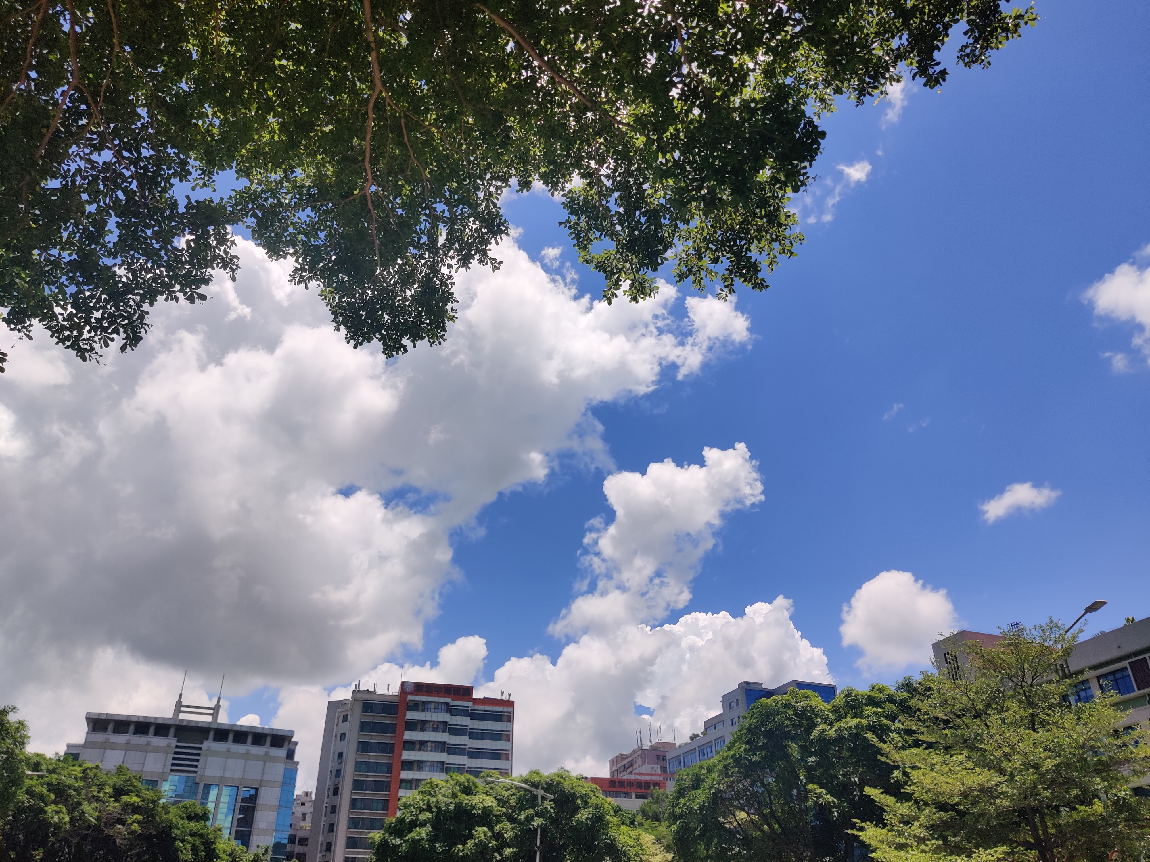 今天的天气真的很不错，蓝天白云